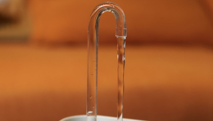 Haustier-Wasserspender Lebend-Wasserfilter Katzen-Trinkbrunnen