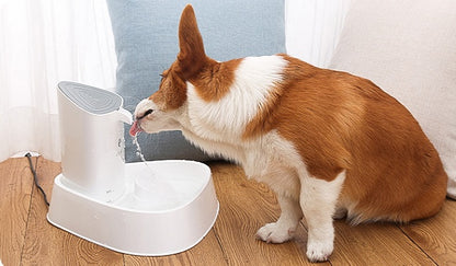 Wasserspender für Hunde, Wasserspender für Katzen