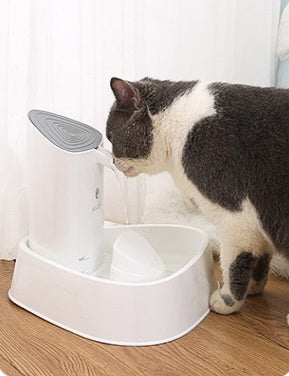 Wasserspender für Hunde, Wasserspender für Katzen