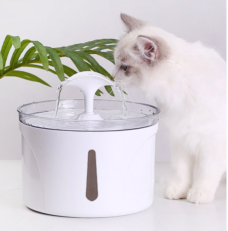 Intelligenter Haustier-Wasserspender mit automatischem Umwälzfilter